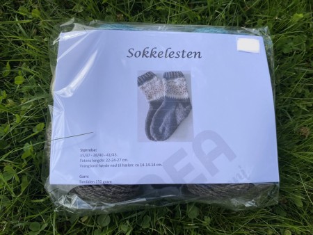 Sokkelesten