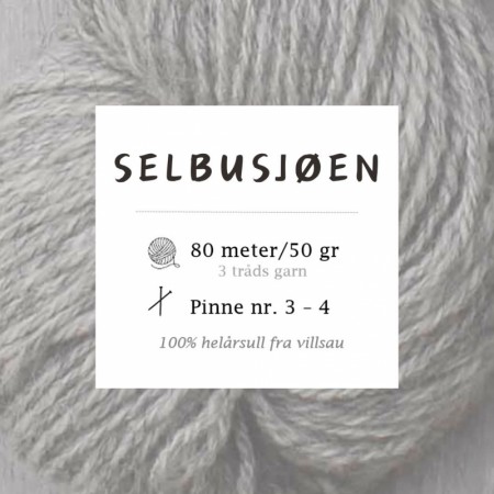 Selbusjøen